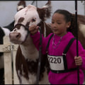 The Impact of Horse Industries on Local Agriculture in Beaver County, Pennsylvania