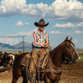 The Thriving Horse Industry in Beaver County, Pennsylvania