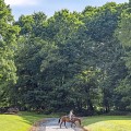 The Impact of Horse Industries on the Local Economy of Beaver County, Pennsylvania