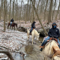 The Thriving Horse Industry in Beaver County, Pennsylvania