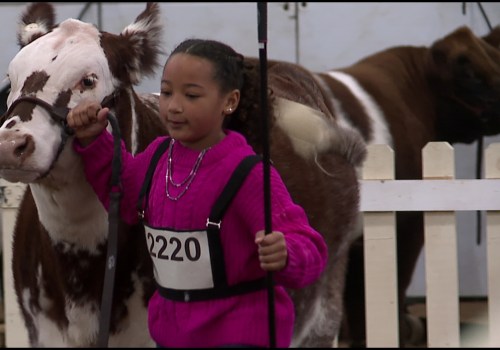 The Impact of Horse Industries on Local Agriculture in Beaver County, Pennsylvania