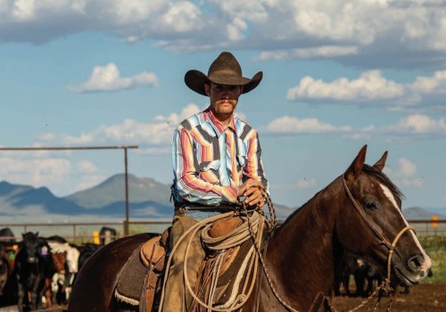 The Thriving Horse Industry in Beaver County, Pennsylvania