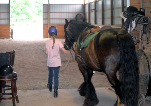 The Impact of Equine Medical Facilities on the Horse Industry in Beaver County, Pennsylvania