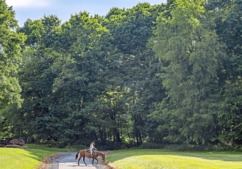 The Impact of Horse Industries on the Local Economy of Beaver County, Pennsylvania