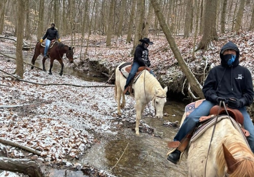 The Thriving Horse Industry in Beaver County, Pennsylvania